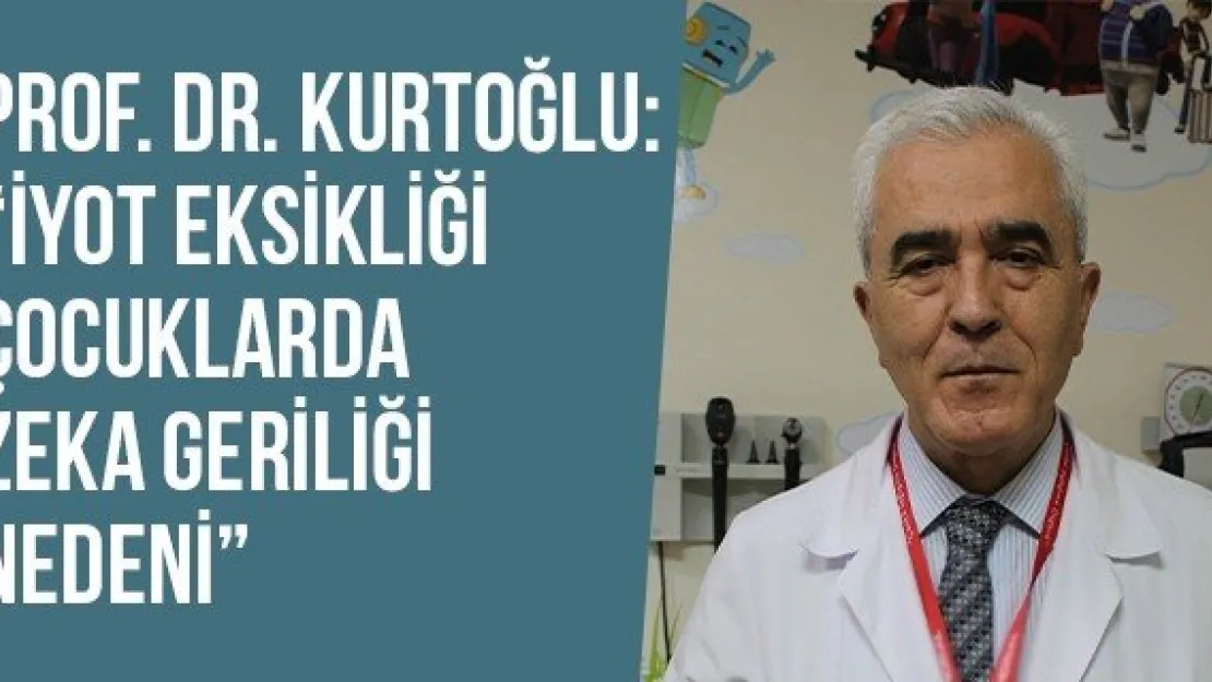 Prof. Dr. Kurtoğlu: 'İyot eksikliği çocuklarda zeka geriliği nedeni'