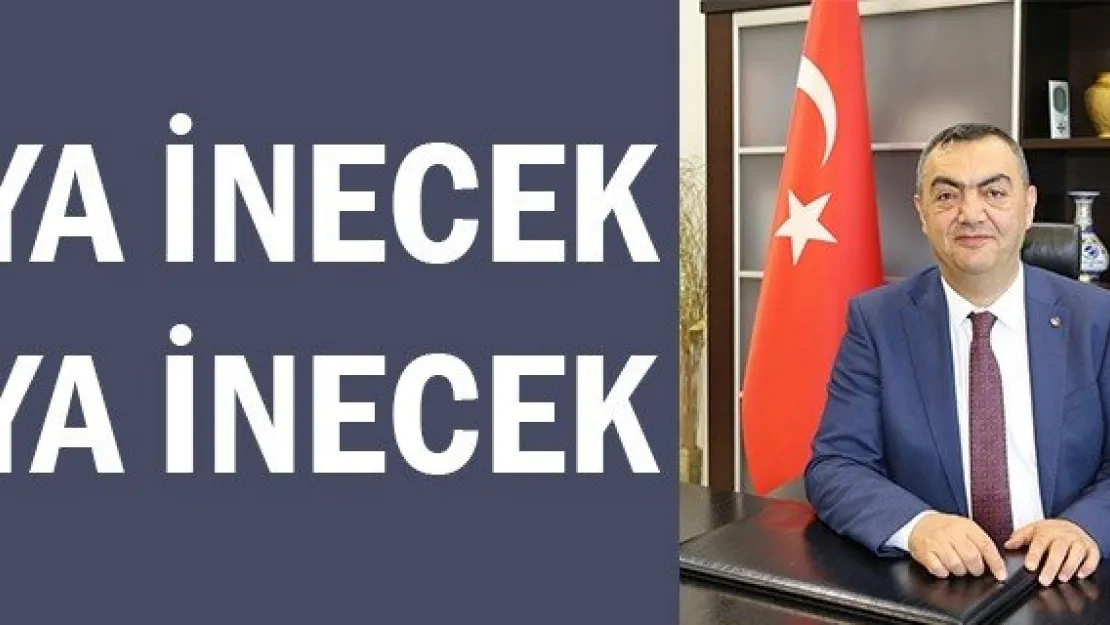 YA İNECEK YA İNECEK