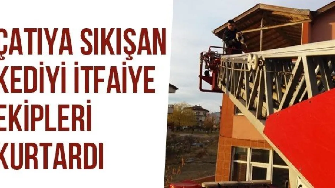 Çatıya Sıkışan Kediyi İtfaiye Ekipleri Kurtardı