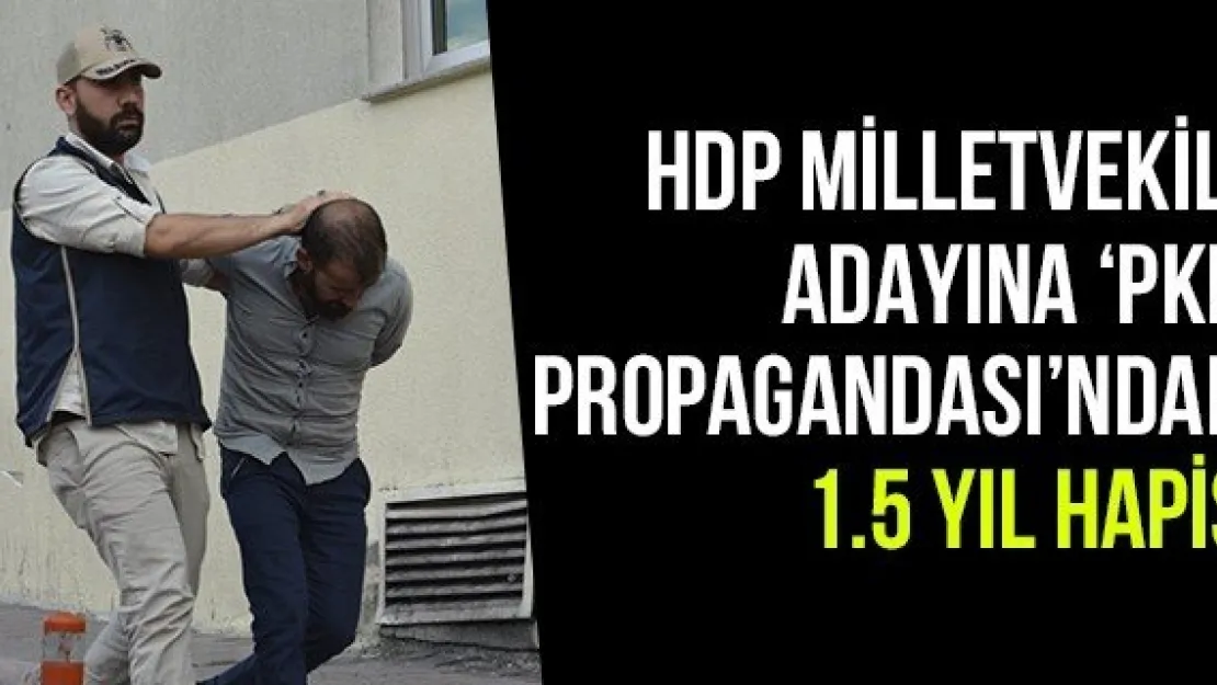 HDP Milletvekili Adayına 'PKK Propagandası'ndan' 1.5 Yıl Hapis