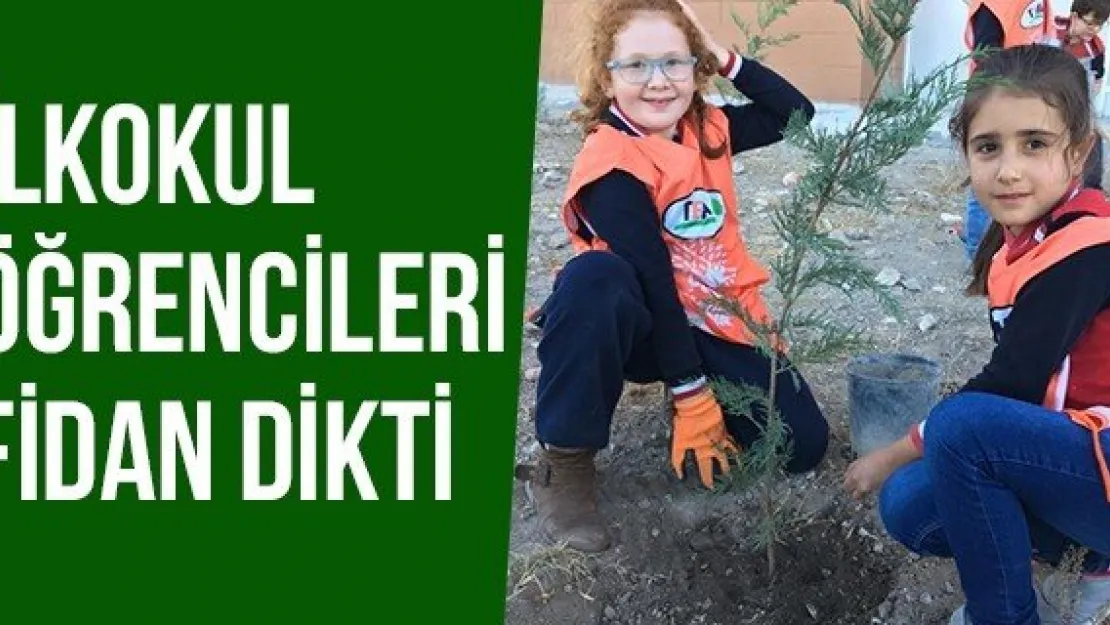 İlkokul Öğrencileri Fidan Dikti