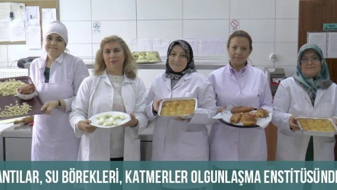 Mantılar, Su Börekleri, Katmerler Olgunlaşma Enstitüsünden