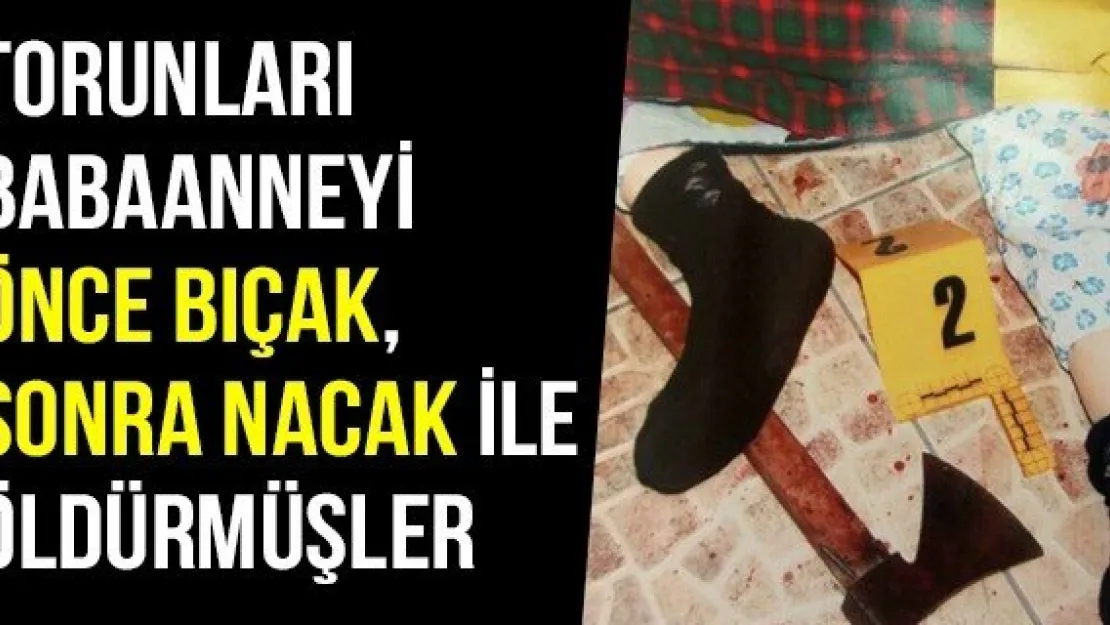 Torunları Babaanneyi Önce Bıçak, Sonra Nacak İle Öldürmüşler