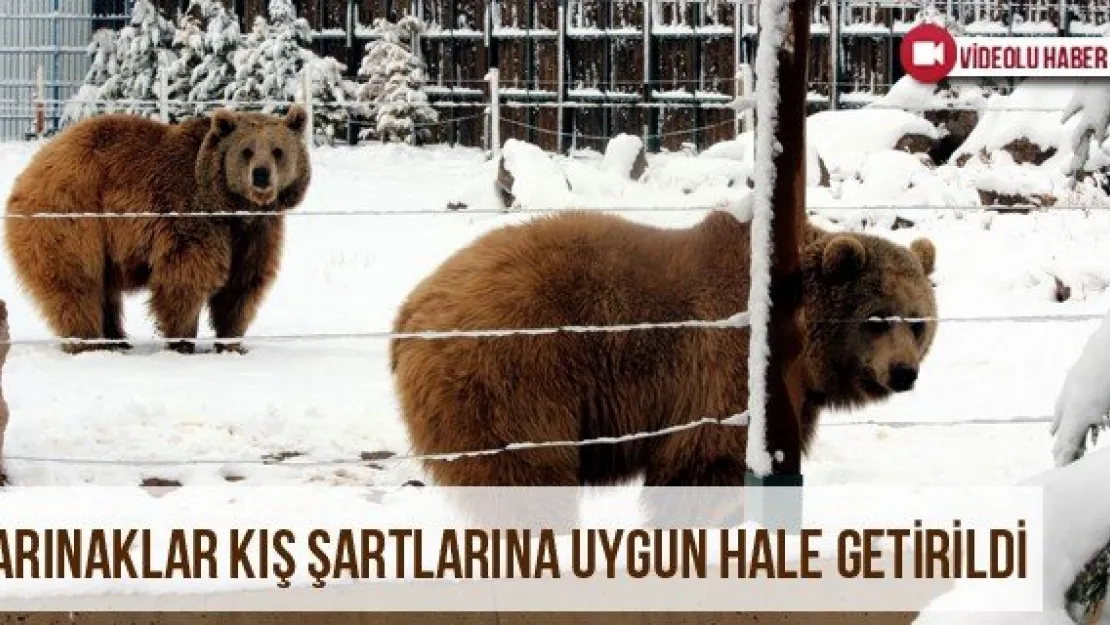 Barınaklar Kış Şartlarına Uygun Hale Getirildi
