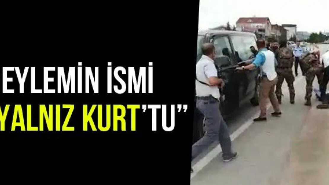 'Eylemin İsmi 'Yalnız Kurt'tu'