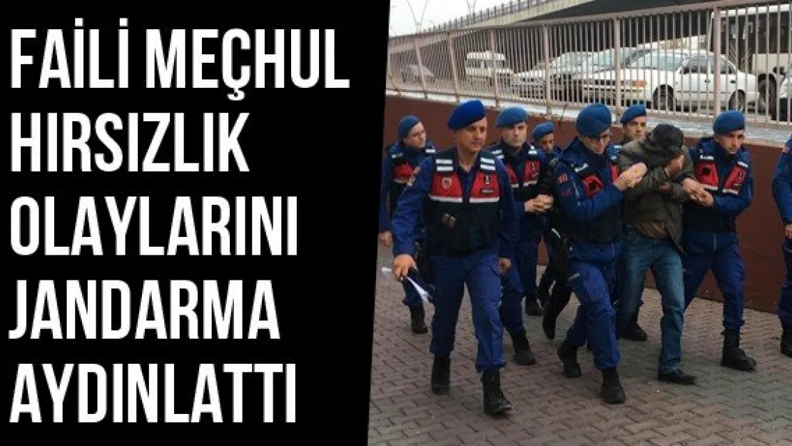 Faili Meçhul Hırsızlık Olaylarını Jandarma Aydınlattı