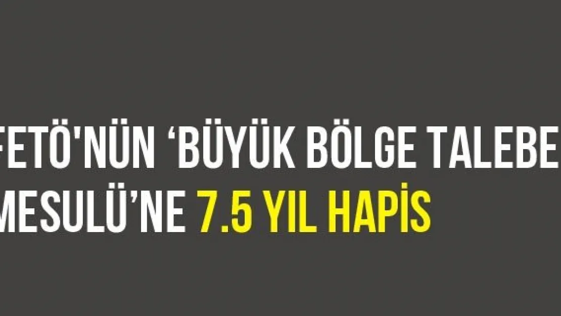 FETÖ'nün 'büyük bölge talebe mesulü'ne 7.5 yıl hapis