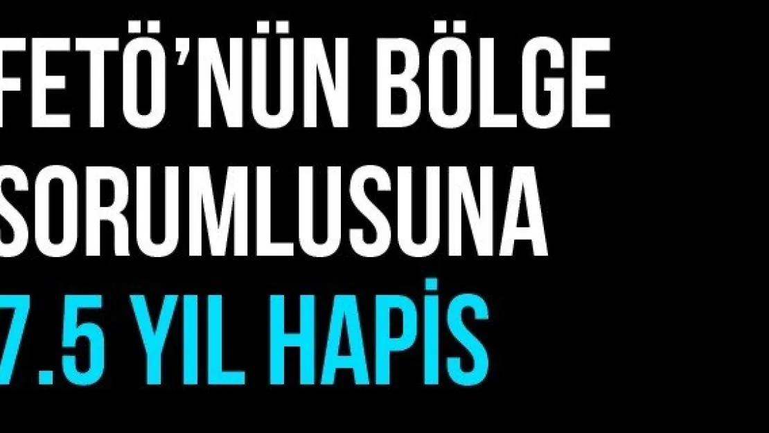 FETÖ'nün Bölge Sorumlusuna 7.5 Yıl Hapis