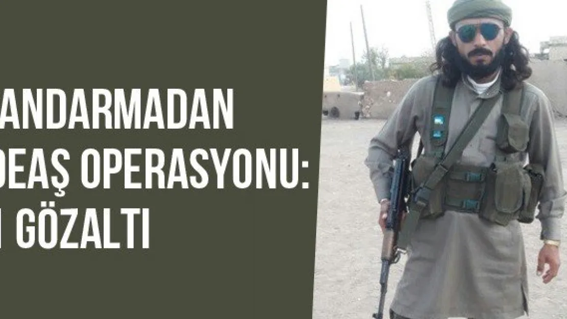 Jandarmadan DEAŞ Operasyonu: 1 Gözaltı