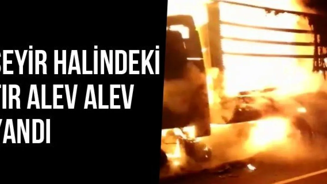 Seyir Halindeki Tır Alev Alev Yandı