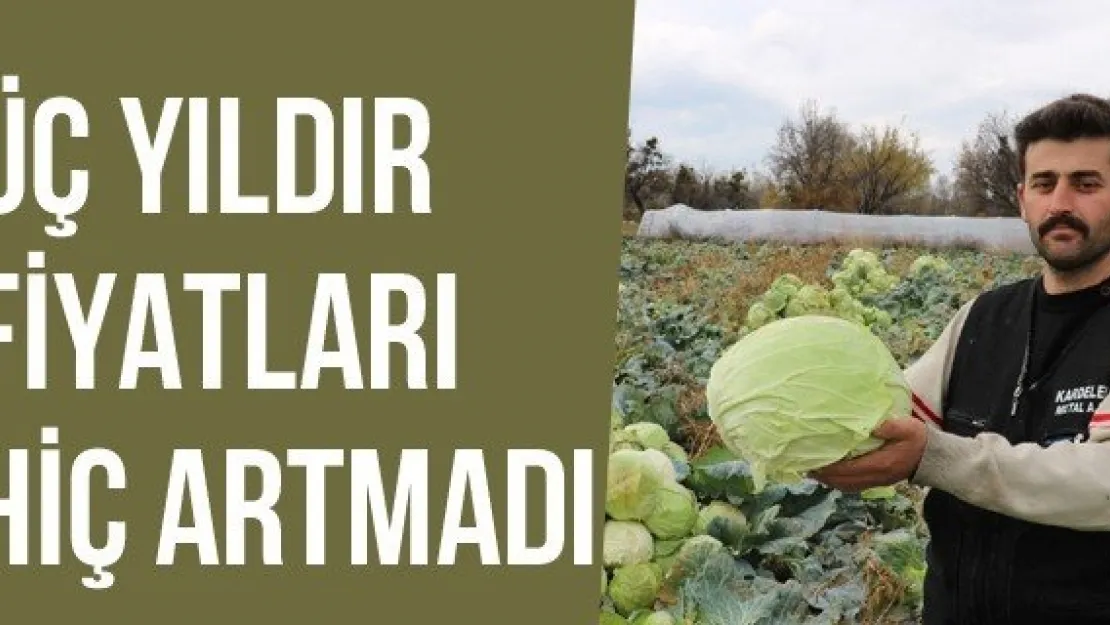 Üç Yıldır Fiyatları Hiç Artmadı