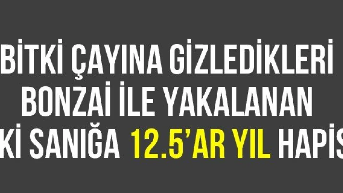 Bitki çayına gizledikleri bonzai ile yakalanan iki sanığa 12.5'ar yıl hapis