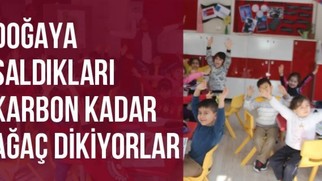 Doğaya saldıkları karbon kadar ağaç dikiyorlar