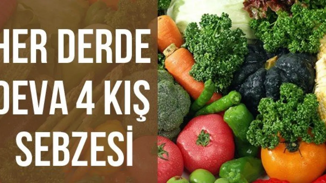 Her derde deva 4 kış sebzesi