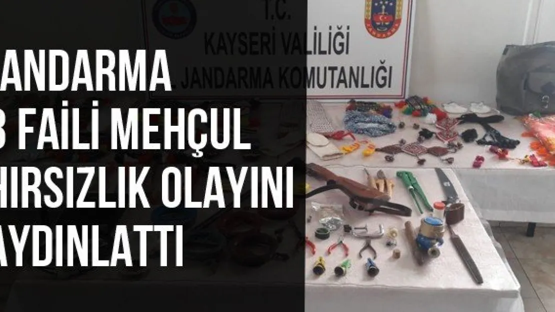 Jandarma 3 faili mehçul hırsızlık olayını aydınlattı