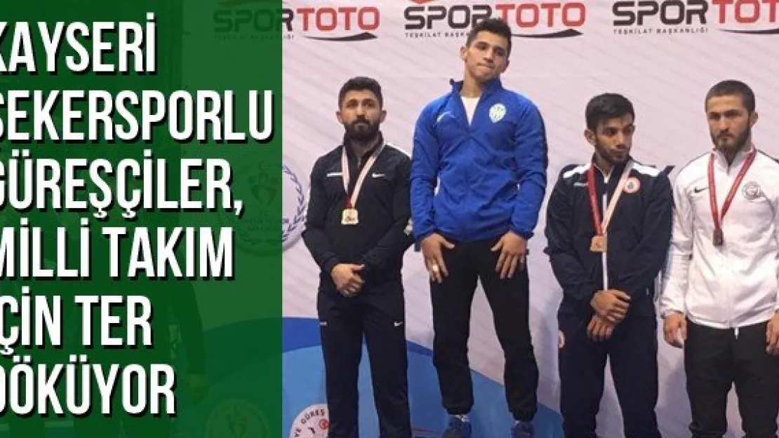 Kayseri Şekersporlu Güreşçiler, Milli Takım İçin Ter Döküyor