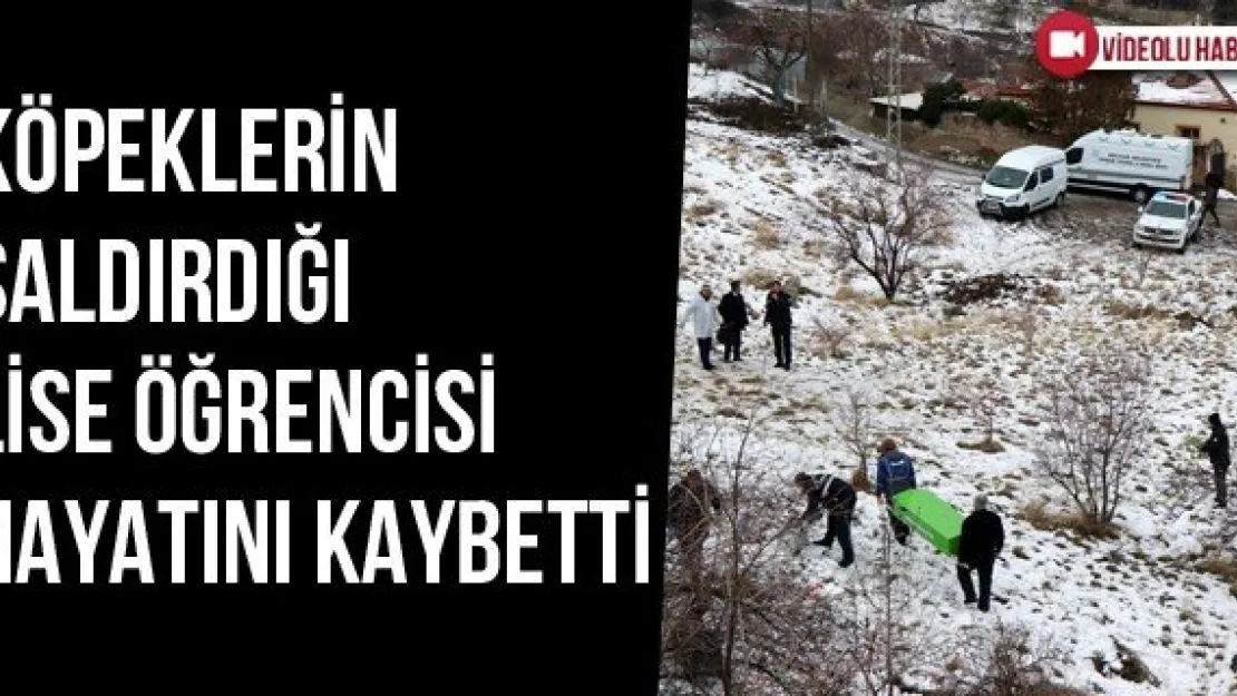 Köpeklerin Saldırdığı Lise Öğrencisi Hayatını Kaybetti