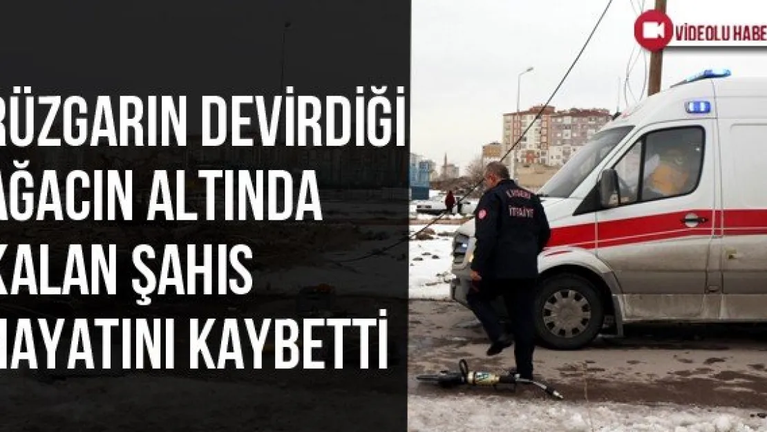 Rüzgarın Devirdiği Ağacın Altında Kalan Şahıs Hayatını Kaybetti