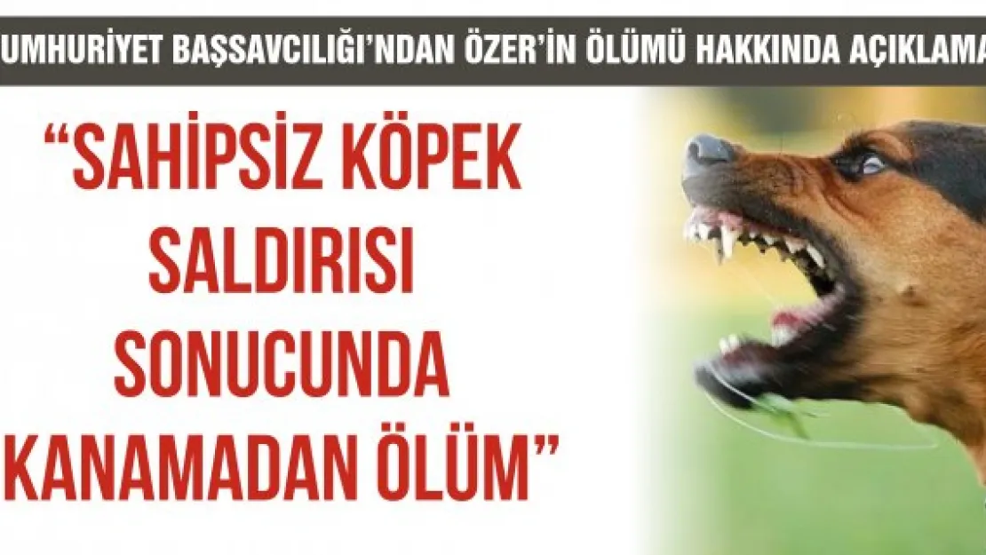 'Sahipsiz köpek saldırısı sonucunda kanamadan ölüm'