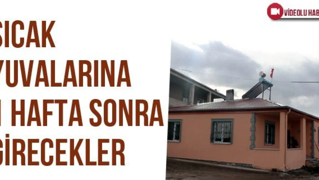 Sıcak Yuvalarına 1 Hafta Sonra Girecekler