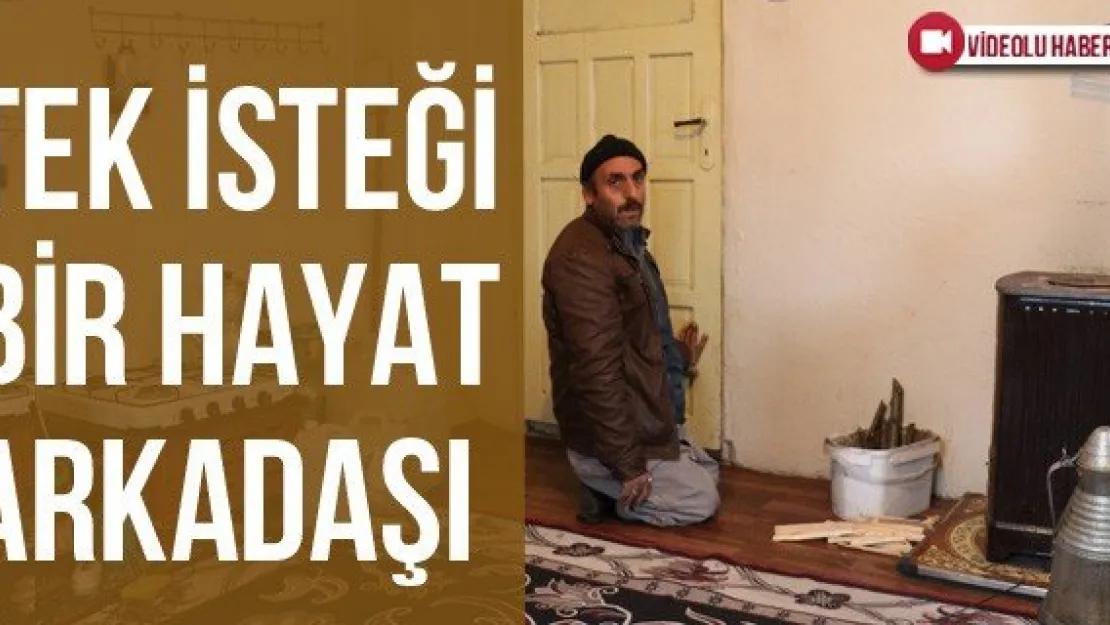 Tek İsteği Bir Hayat Arkadaşı