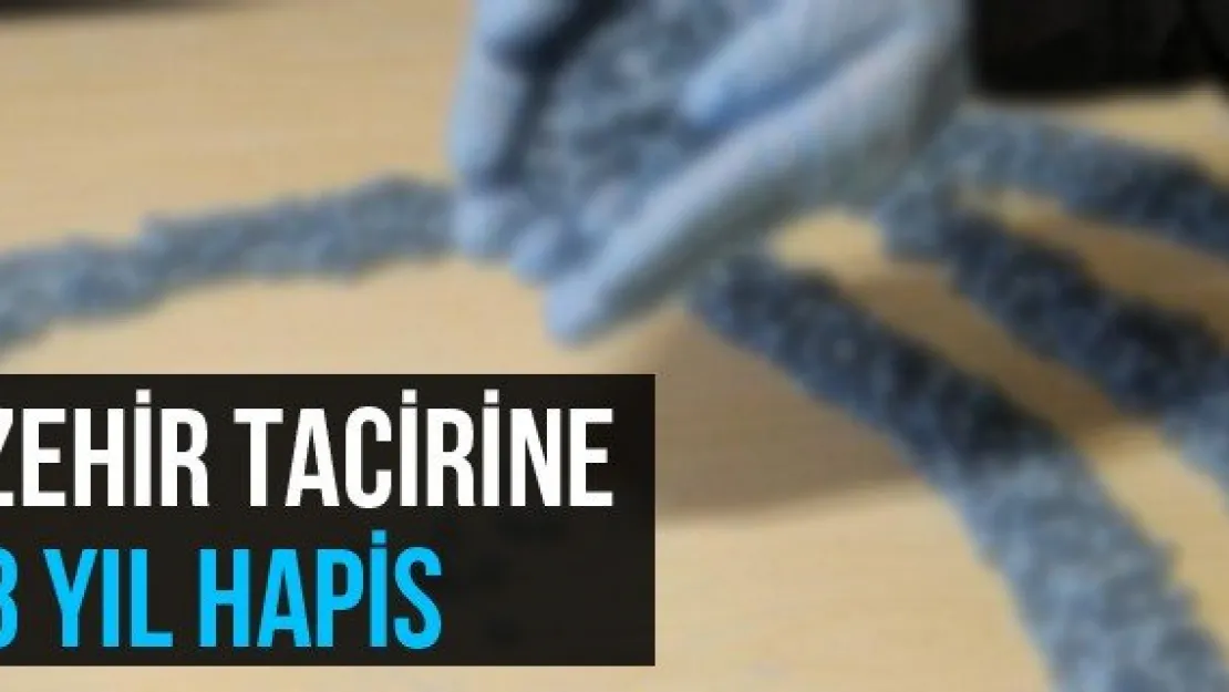 Zehir Tacirine 8 Yıl Hapis