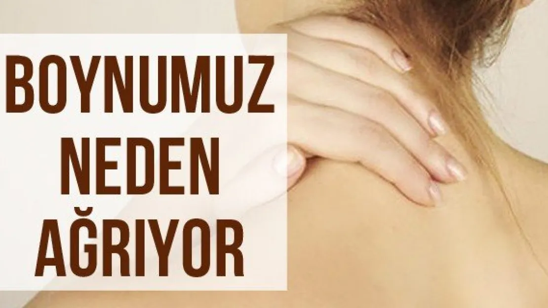 Boynumuz Neden Ağrıyor