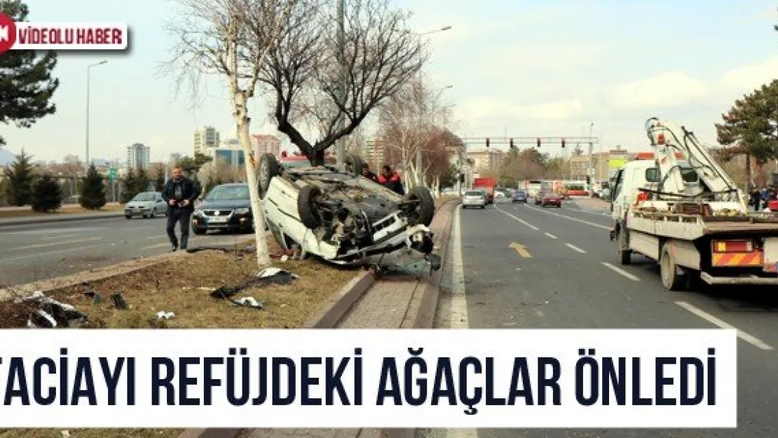 Faciayı Refüjdeki Ağaçlar Önledi