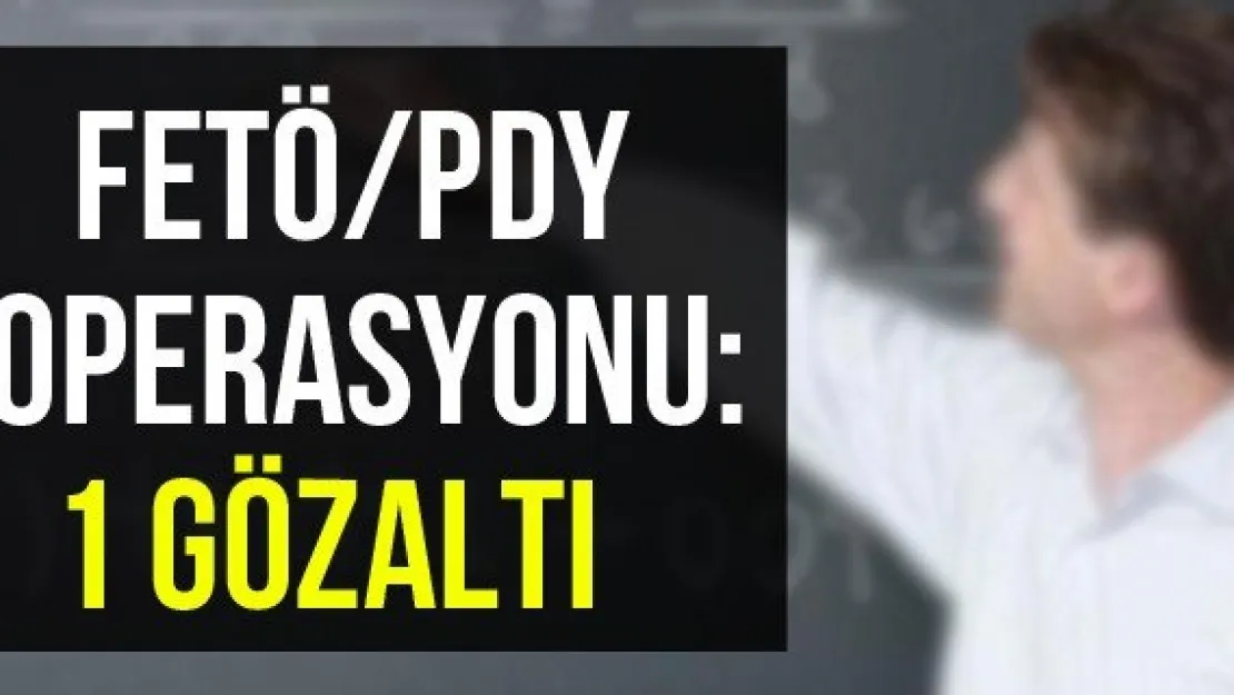 FETÖ/PDY operasyonu: 1 gözaltı