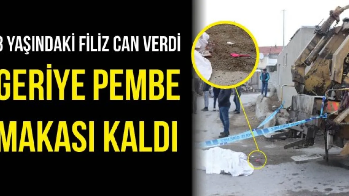 Geriye pembe makası kaldı
