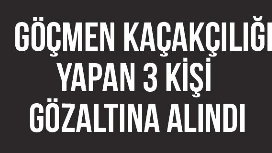 Göçmen Kaçakçılığı Yapan 3 Kişi Gözaltına Alındı
