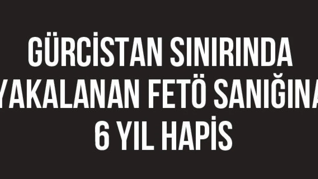 Gürcistan sınırında yakalanan FETÖ sanığına 6 yıl hapis