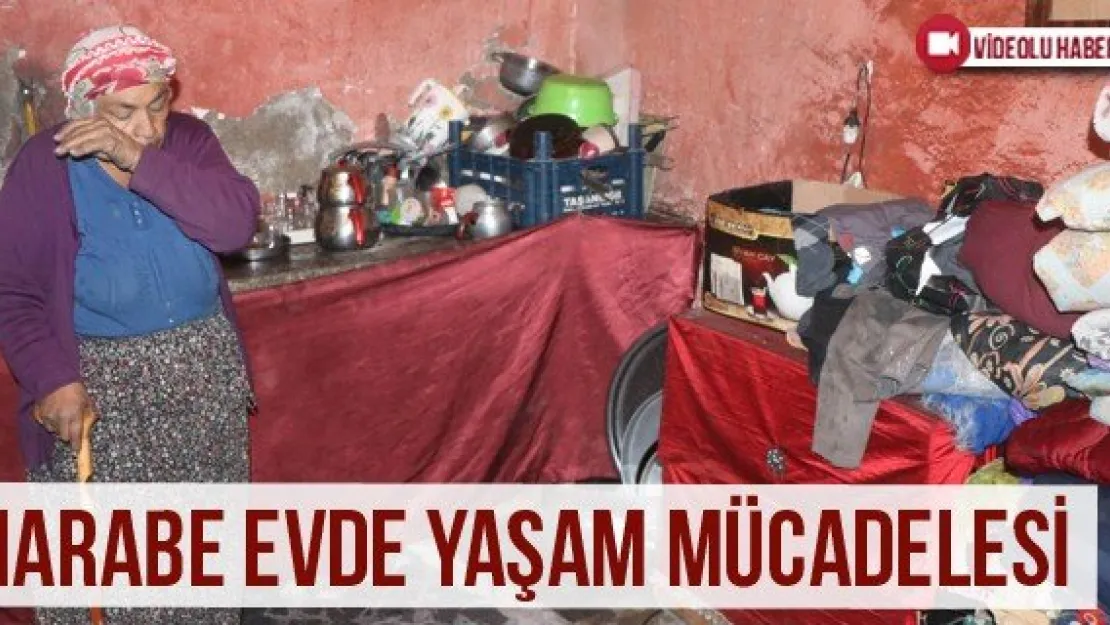 Harabe Evde Yaşam Mücadelesi