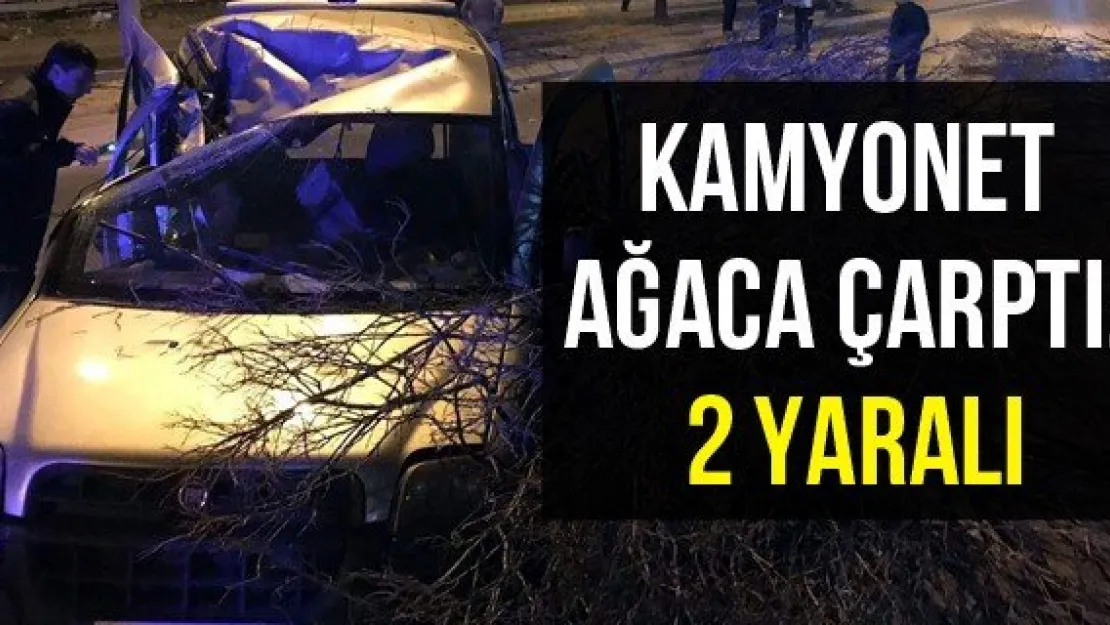 Kamyonet ağaca çarptı: 2 yaralı