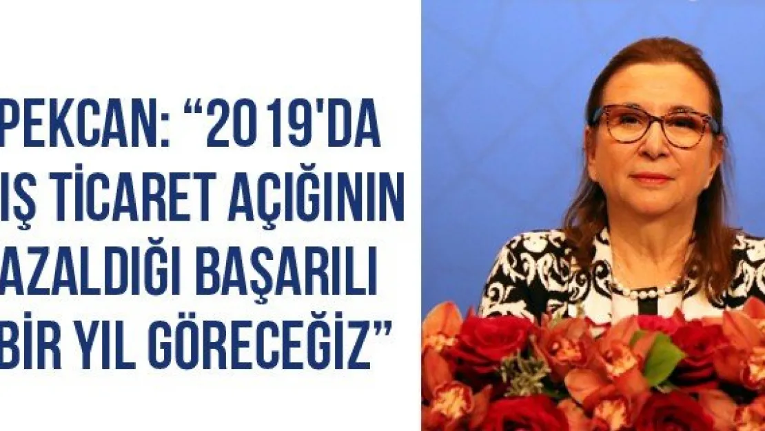 Pekcan: '2019'da dış ticaret açığının azaldığı başarılı bir yıl göreceğiz'