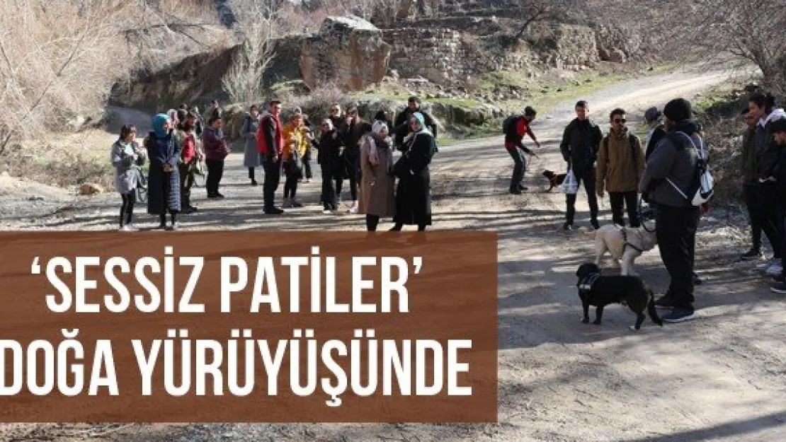 'Sessiz Patiler' doğa yürüyüşünde