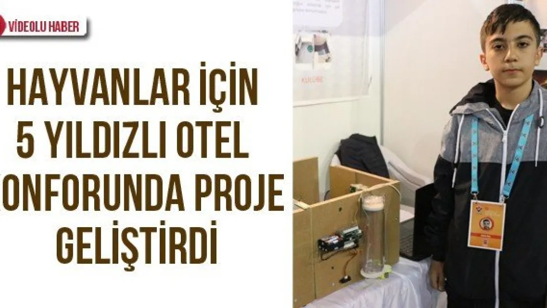 Hayvanlar İçin 5 Yıldızlı Otel Konforunda Proje Geliştirdi