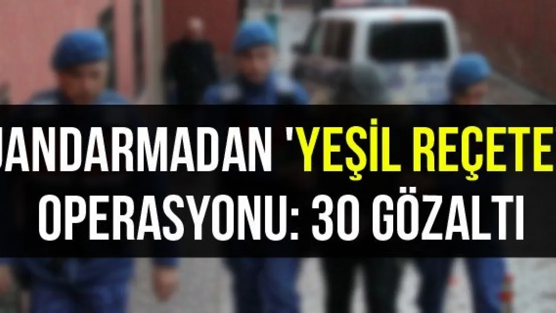 Jandarmadan 'Yeşil Reçete' operasyonu: 30 gözaltı