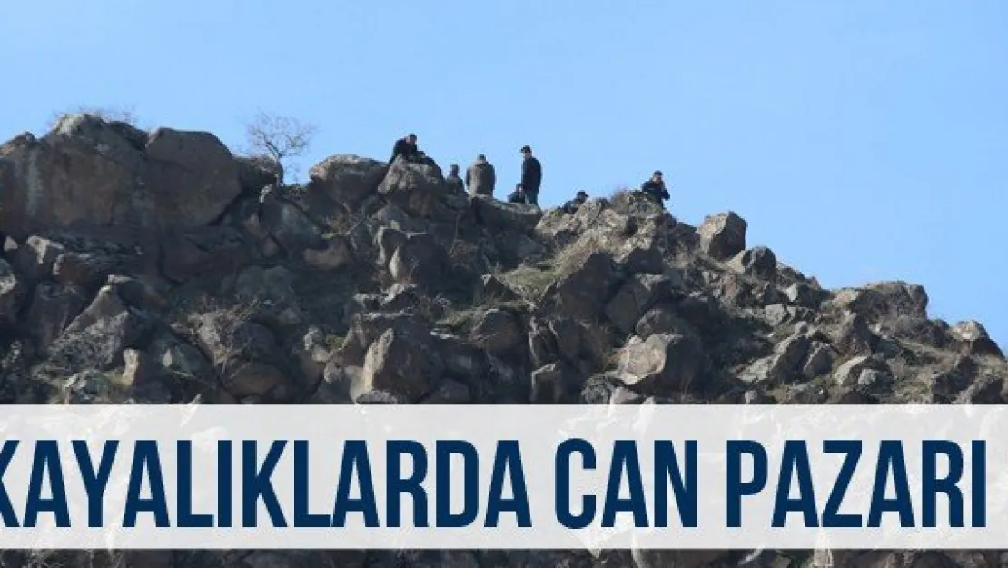 Kayalıklarda Can Pazarı