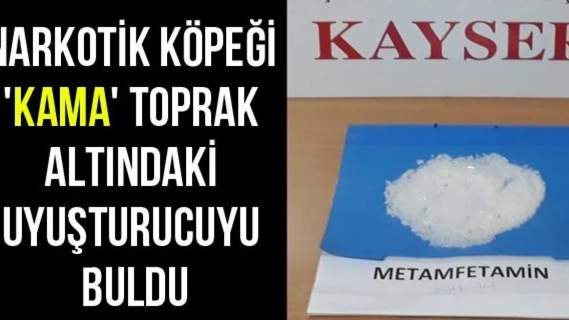 Narkotik Köpeği 'Kama' Toprak Altındaki Uyuşturucuyu Buldu
