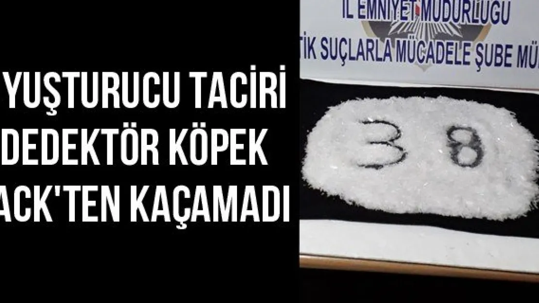 Uyuşturucu Taciri Dedektör Köpek Jack'ten Kaçamadı