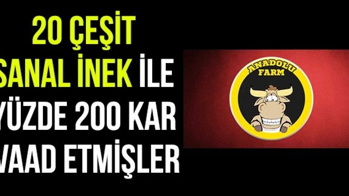20 çeşit sanal inek ile yüzde 200 kar vaad etmişler