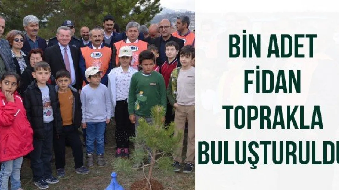 Bin Adet Fidan Toprakla Buluşturuldu