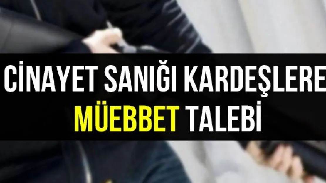Cinayet sanığı kardeşlere müebbet talebi