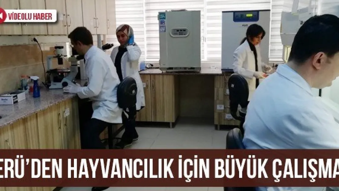 ERÜ'den Hayvancılık İçin Büyük Çalışma