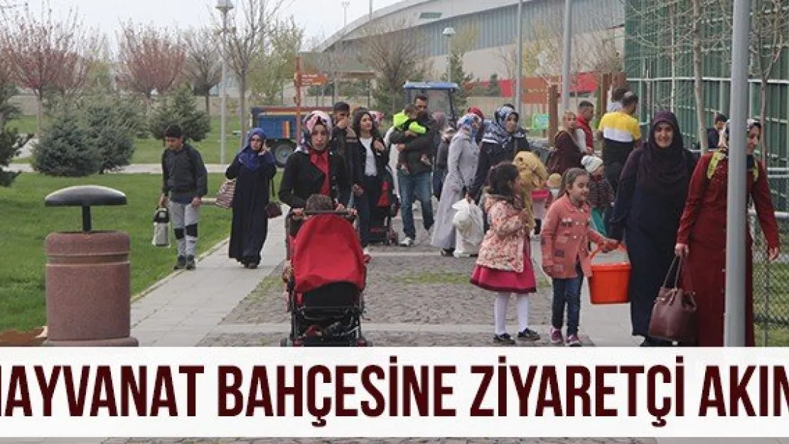 Hayvanat Bahçesine Ziyaretçi Akını