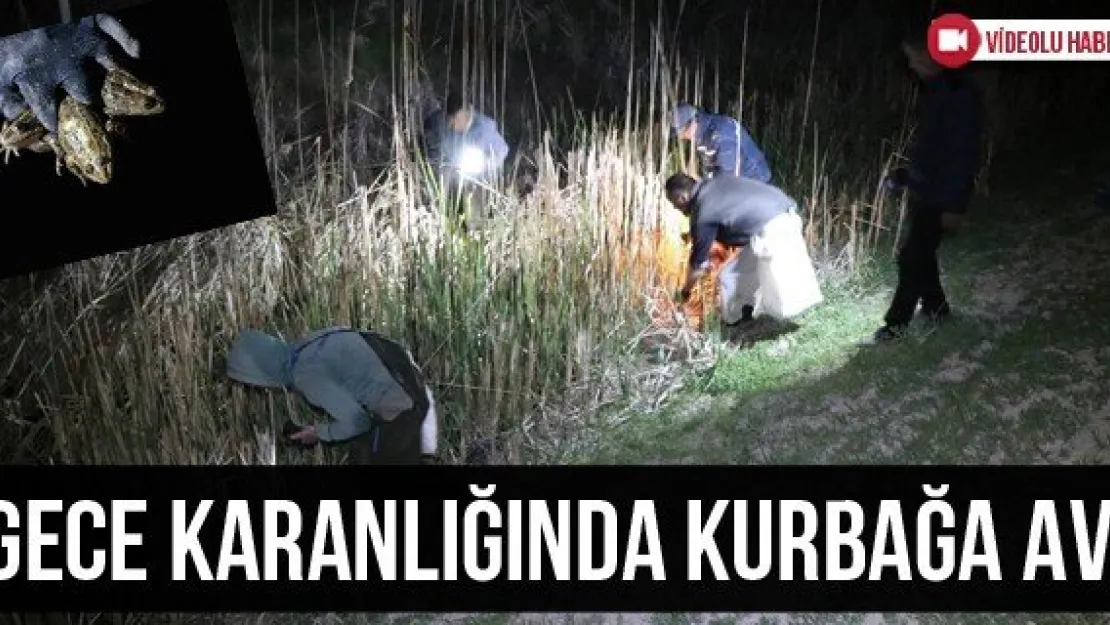 Gece Karanlığında Kurbağa Avı