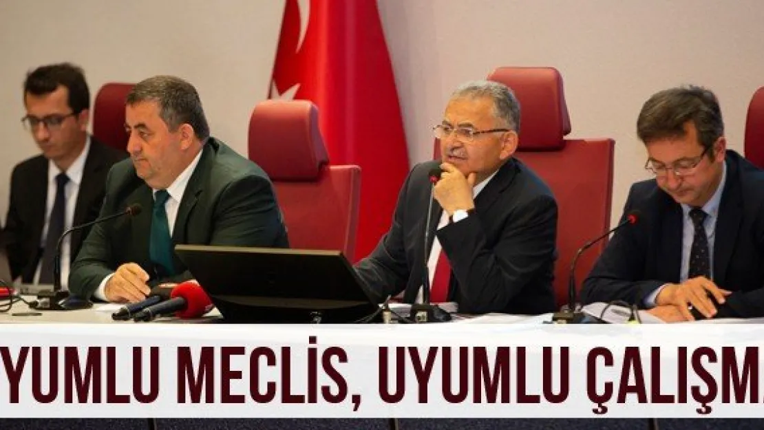 Uyumlu Meclis, Uyumlu Çalışma