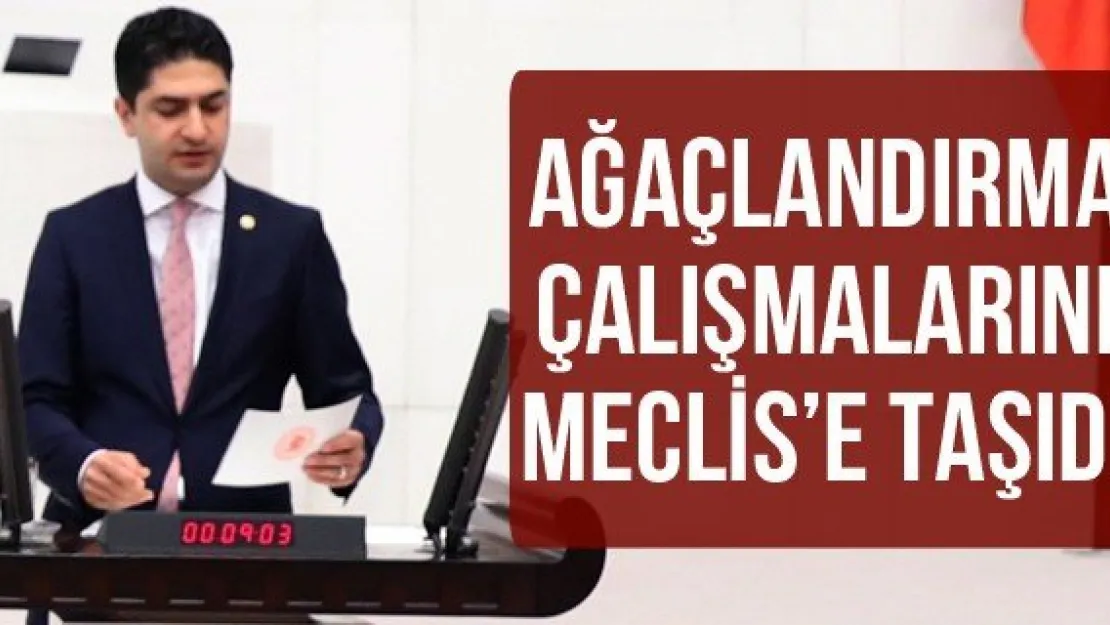 Ağaçlandırma çalışmalarını Meclis'e taşıdı