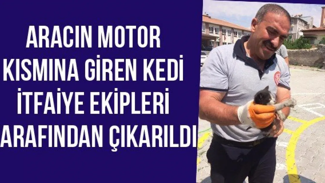 Aracın motor kısmına giren kedi itfaiye ekipleri tarafından çıkarıldı
